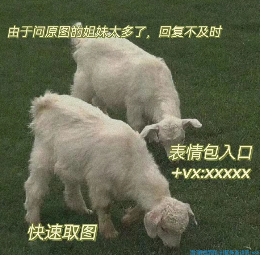 高佣联盟小伙伴们注意啦，今天分享如何借助冰墩墩这波热度吸粉
