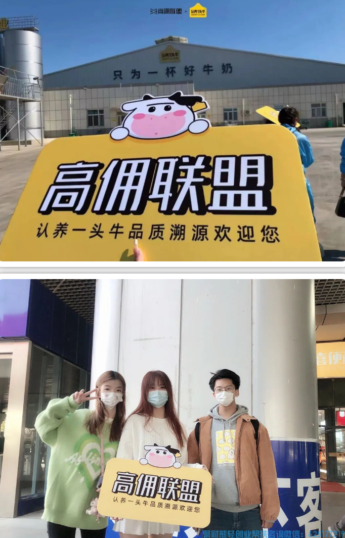被央媒点赞的好牛奶！高佣联盟带你溯源“认养一头牛”牧场
