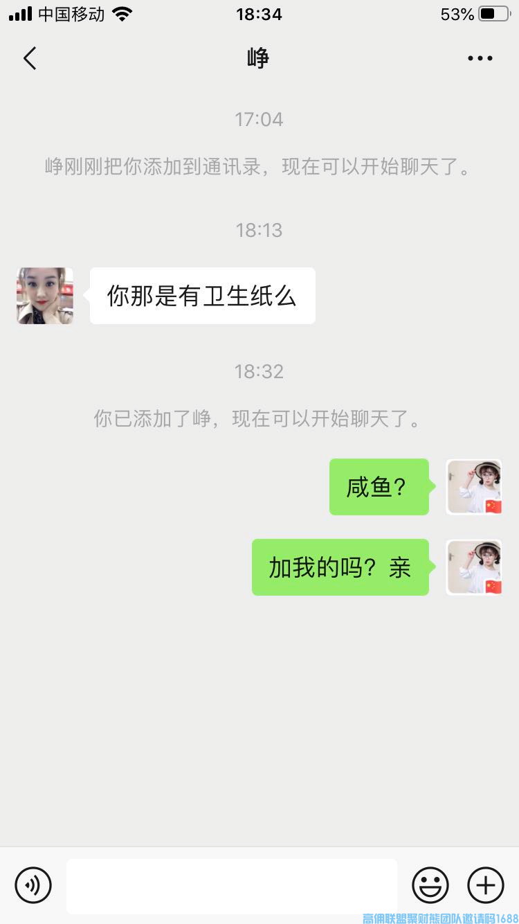 从开始加入高佣到升级总监后当中的网推地推经验分享(图3)