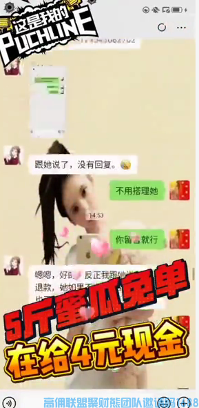蘭馨叫你跟她回家撸羊毛啊！淘宝不倒，高佣养老；拼多多不败，高佣长在(图6)