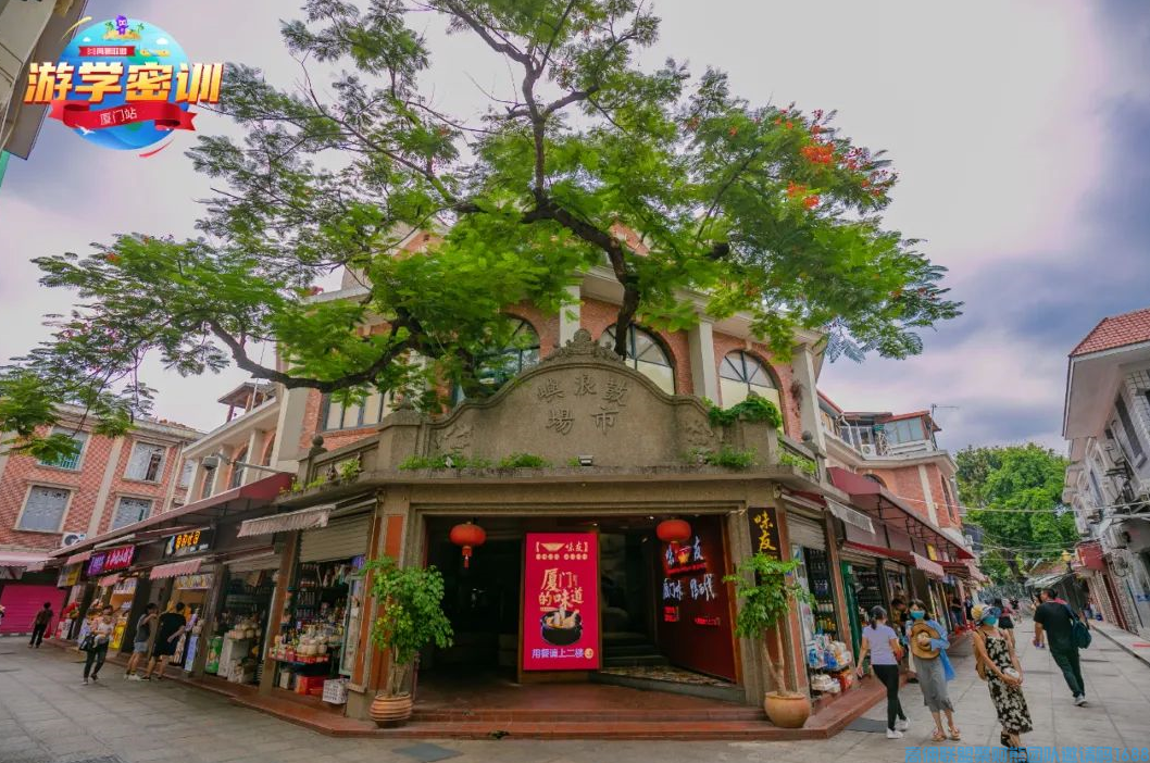 问鼎七剑，冲刺巅峰！厦门游学密训正式开启！(图12)
